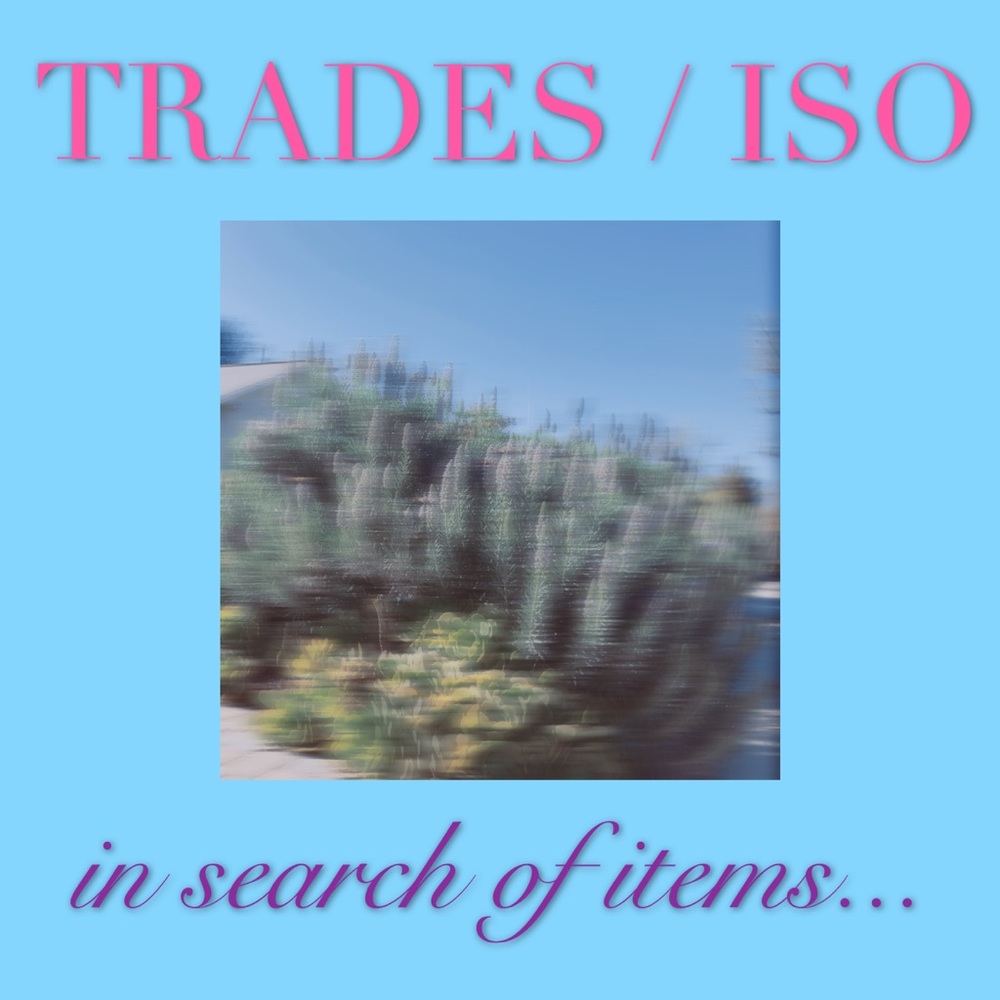 🦋 ISO 🦋 dream trade items 🦋